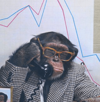 Trader's picture